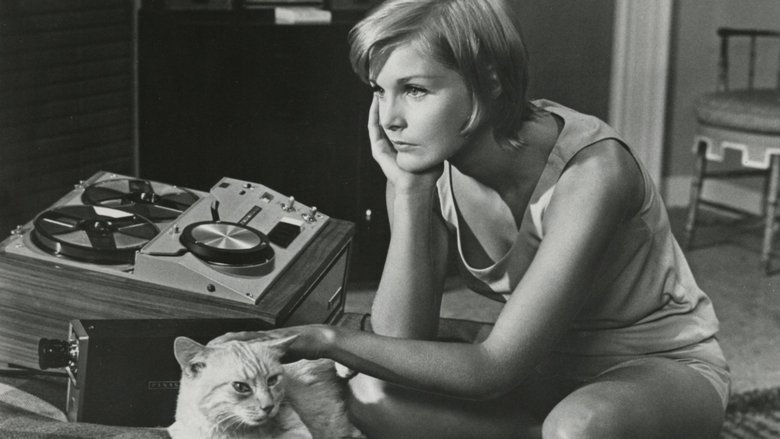 кадр из фильма Once You Kiss a Stranger...