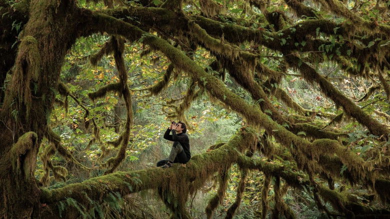 кадр из фильма Le chant des forêts