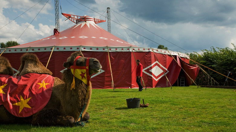 кадр из фильма Calimucho