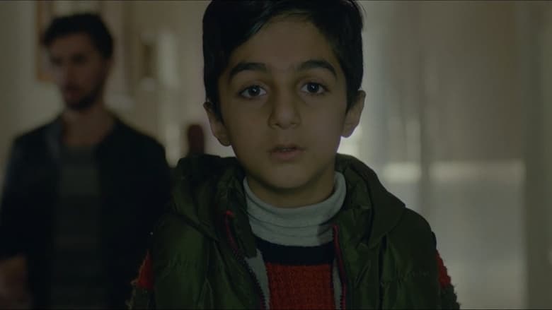 кадр из фильма شاراوە