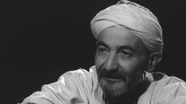 кадр из фильма Le Rossignol De Kabylie