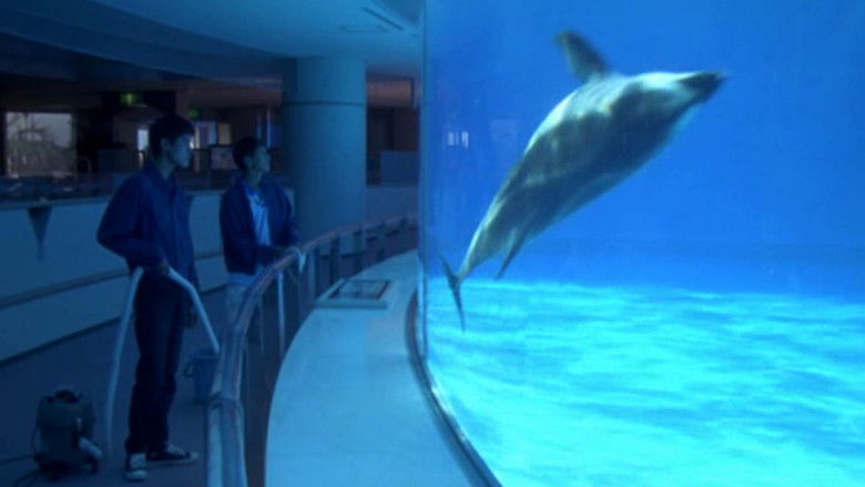 кадр из фильма Август в воде