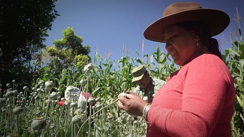 кадр из фильма Les vrais Narcos