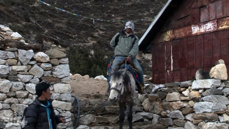 кадр из фильма The Horseman of Mount Everest