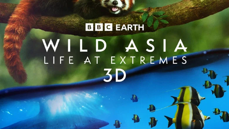 кадр из фильма Wild Asia: Life at Extremes