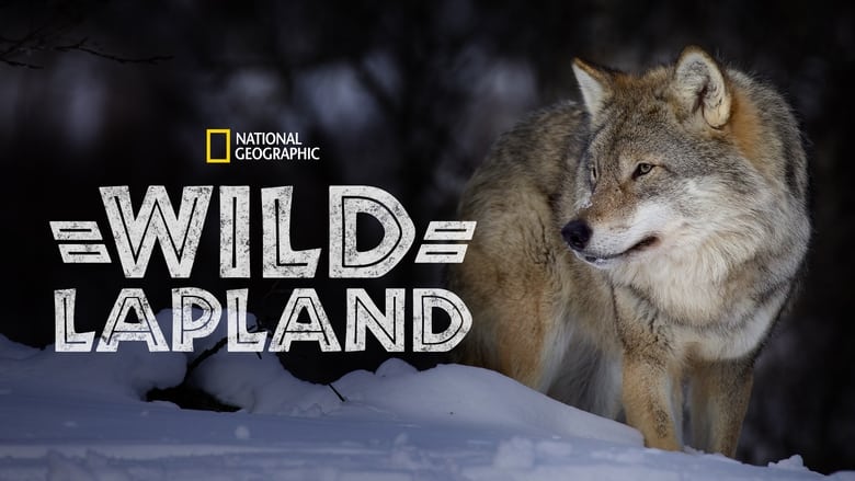 кадр из фильма Wild Lapland