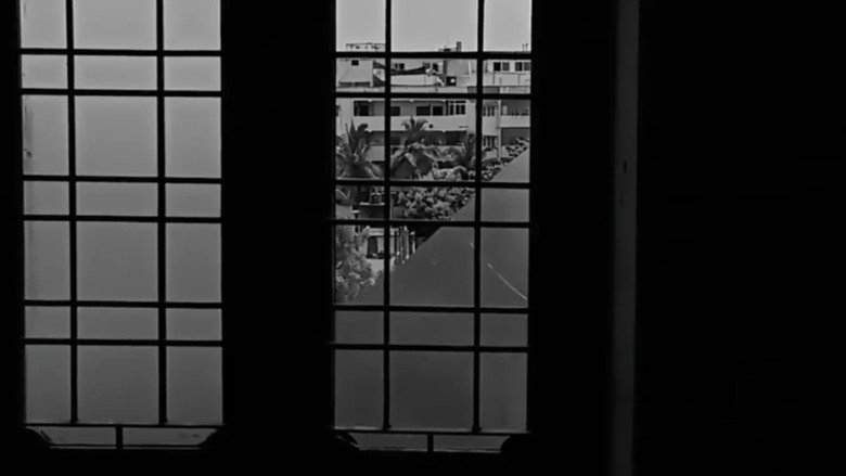 кадр из фильма The Broken Window