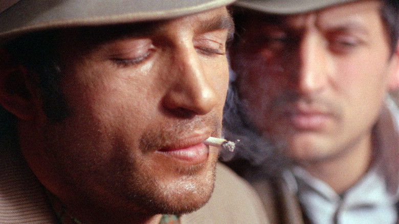 кадр из фильма Скупщики перьев