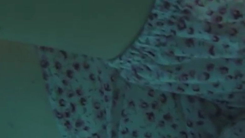 кадр из фильма The Defiant Niece