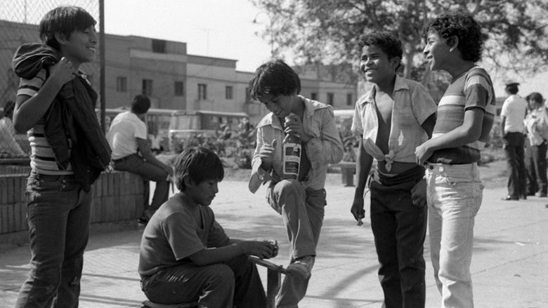 кадр из фильма Gregorio