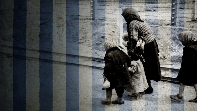 кадр из фильма Ein Tag in Auschwitz