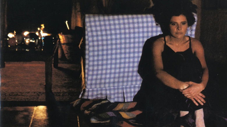 кадр из фильма Dicembre