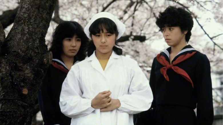 кадр из фильма 夏の秘密