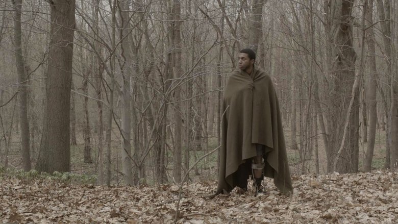 кадр из фильма The Alchemist Cookbook