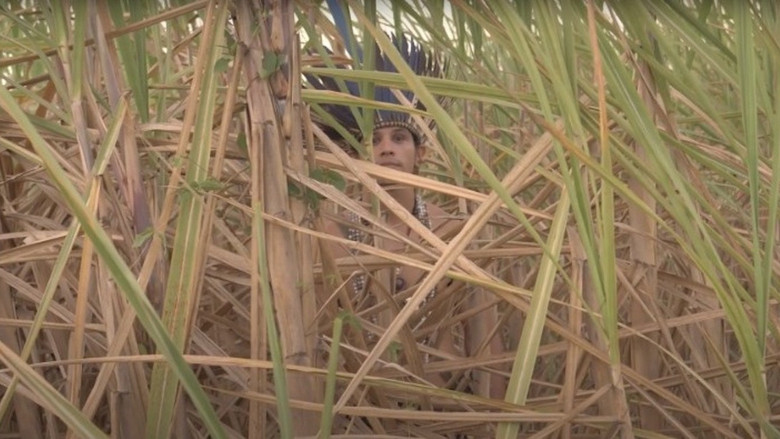 кадр из фильма Diálogos Indígenas do Nosso Tempo