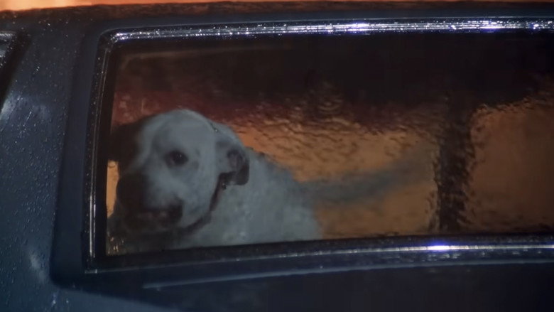 кадр из фильма Око за око