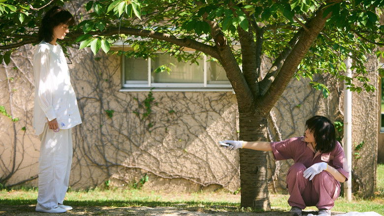 кадр из фильма ルート29