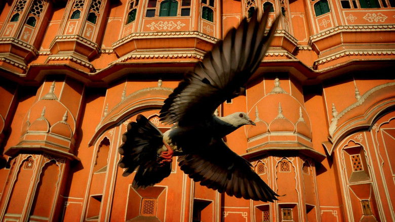 кадр из фильма Earthflight