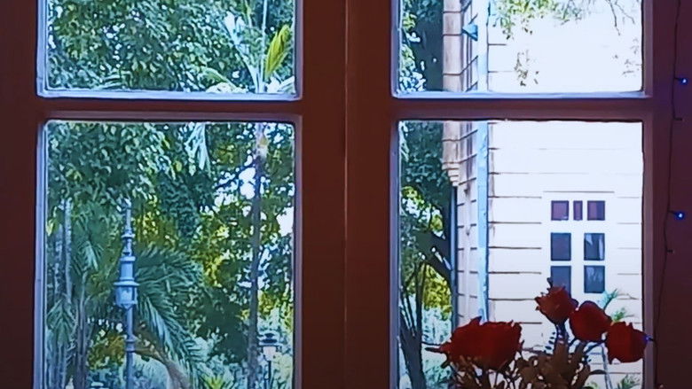 кадр из фильма Os Encontros