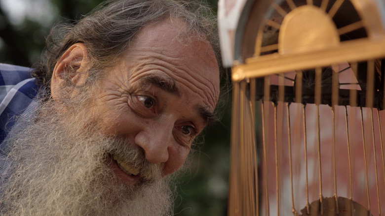 кадр из фильма Mirando al Cielo