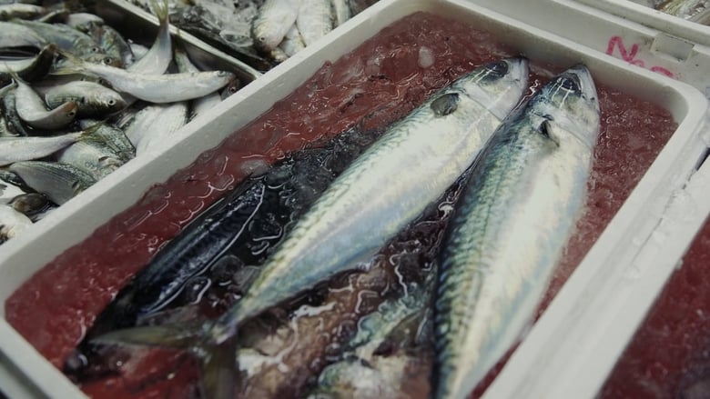 кадр из фильма 築地ワンダーランド