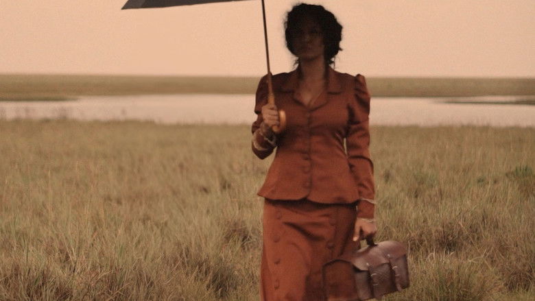 кадр из фильма Ventos do Verão