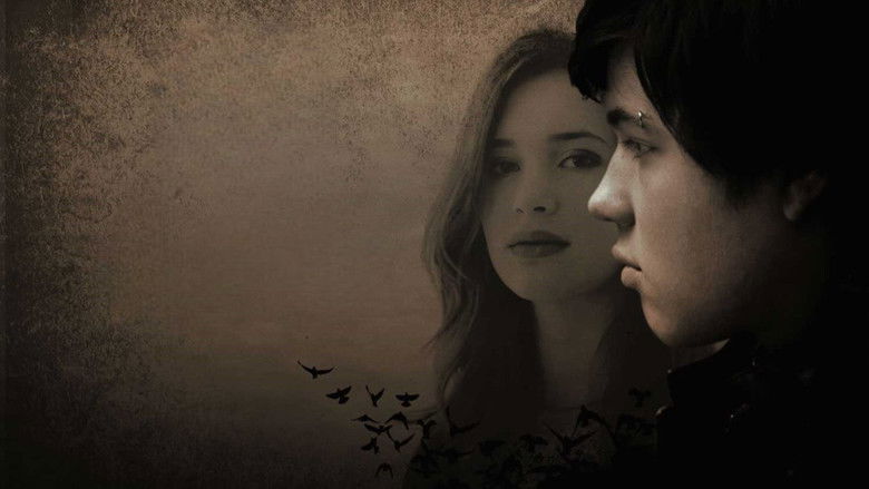 кадр из фильма Чёрный дрозд