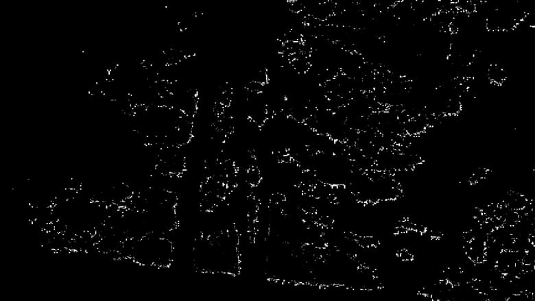 кадр из фильма Black Glass