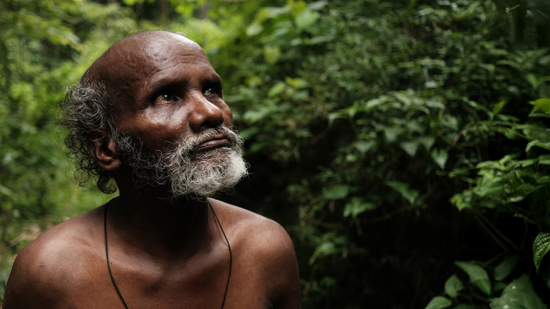 кадр из фильма പാത്ത്