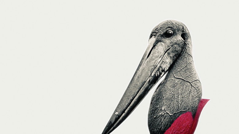 кадр из фильма Эврика