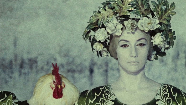 кадр из фильма Цвет граната