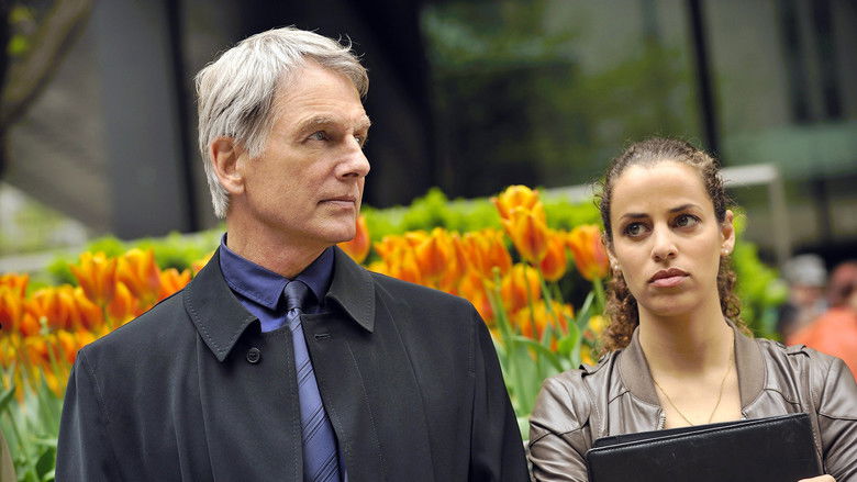 кадр из фильма Верный выстрел