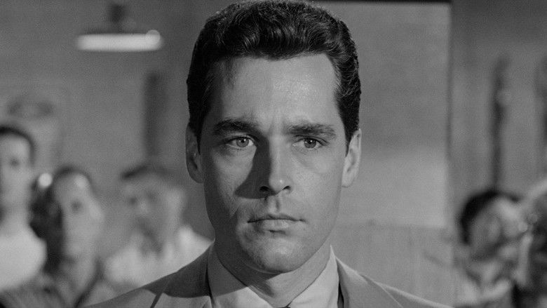 кадр из фильма Текстильные джунгли