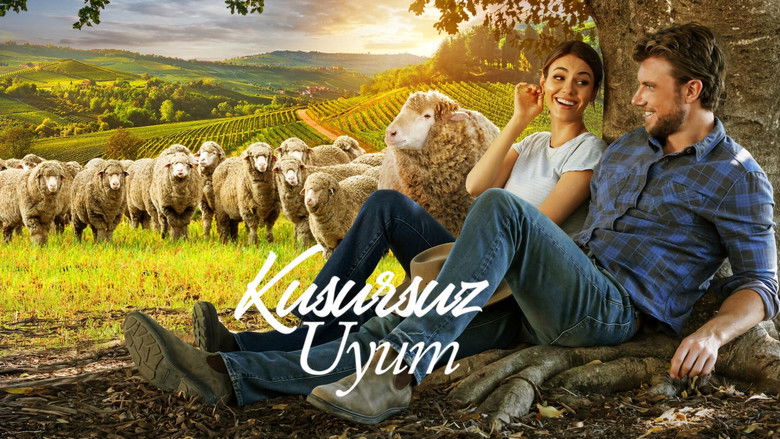 кадр из фильма Идеальное сочетание