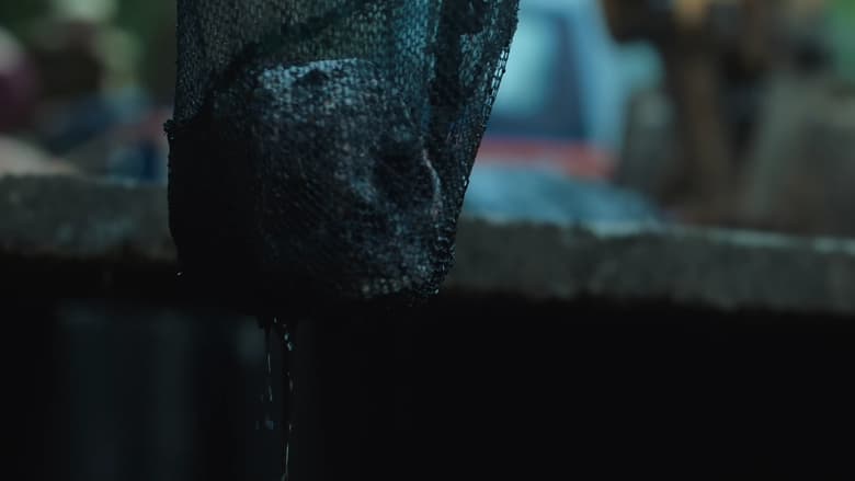 кадр из фильма Sector 36