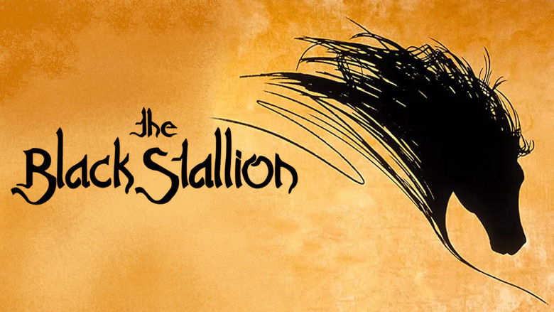 кадр из фильма Черный скакун