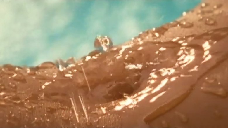 кадр из фильма Playboy: Wet & Wild V