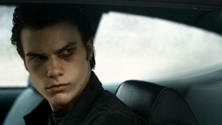 кадр из фильма White Rabbit