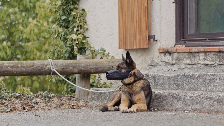 кадр из фильма CROC