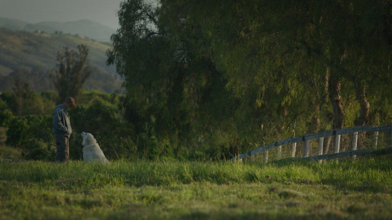 кадр из фильма The Biggest Little Farm