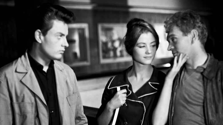 кадр из фильма Лунатики