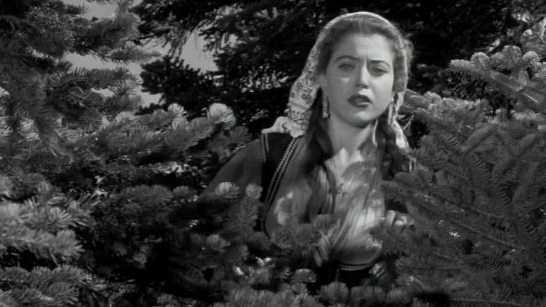 кадр из фильма Μαρία Πενταγιώτισσα