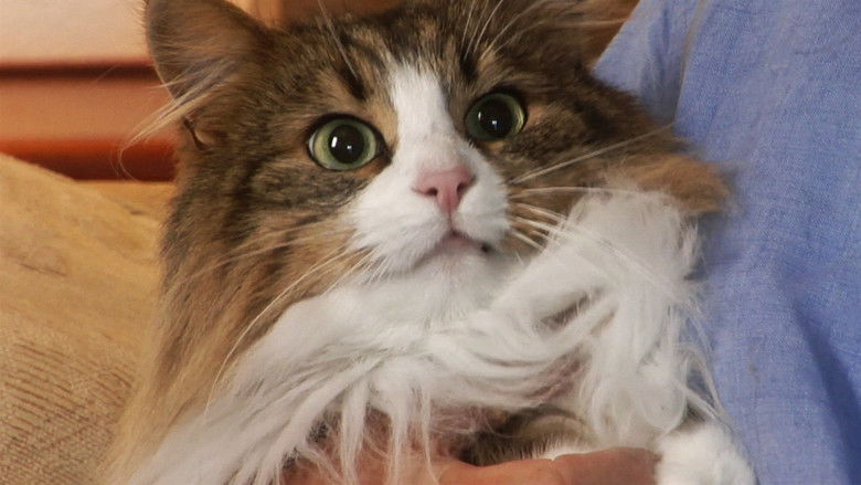 кадр из фильма Missing