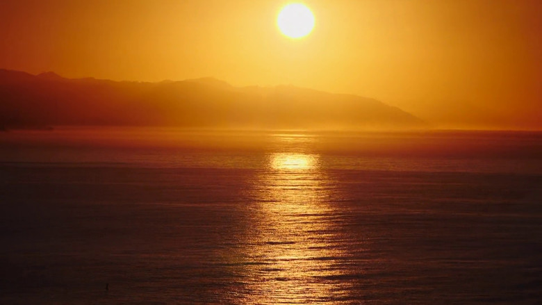 кадр из фильма Surfing Morning of the Sun