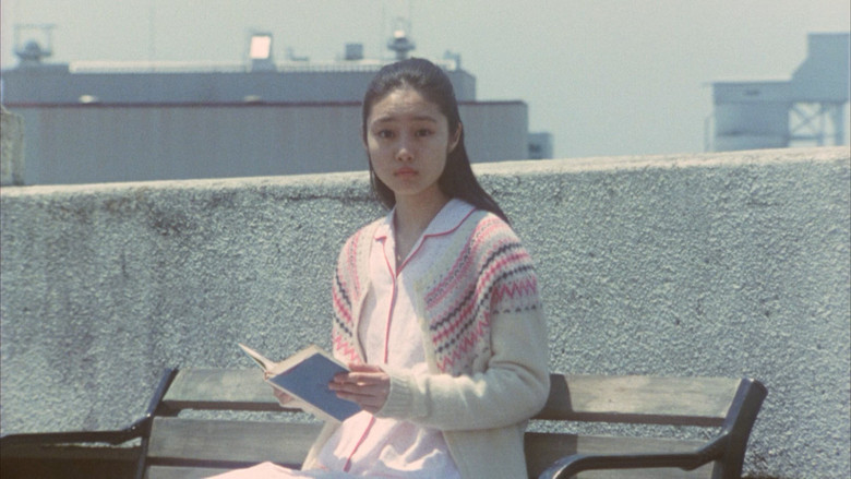 кадр из фильма 半分の月がのぼる空