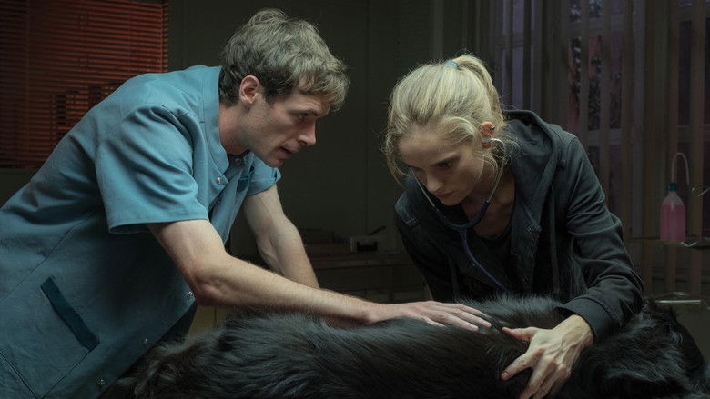 кадр из фильма Les vétos