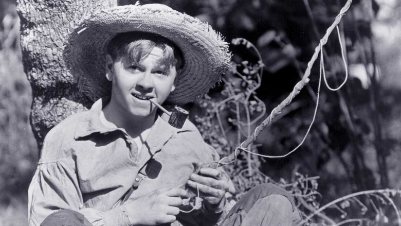 кадр из фильма Приключения Гекельберри Финна