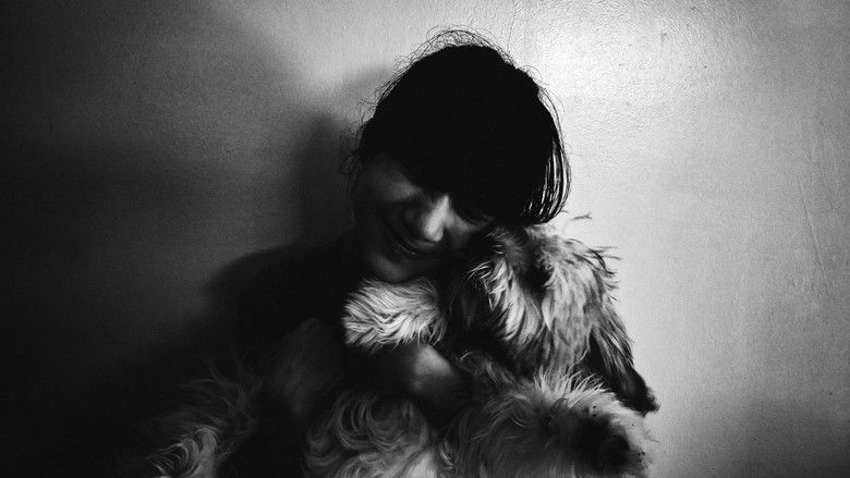 кадр из фильма Vida de Cão