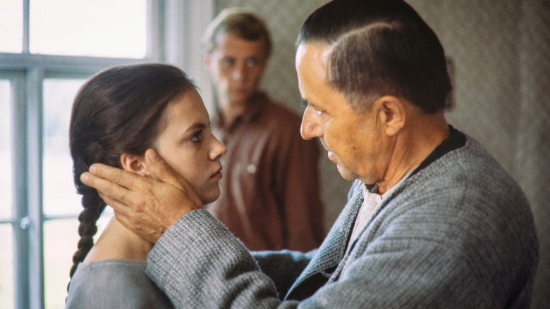 кадр из фильма Anna-Liisa