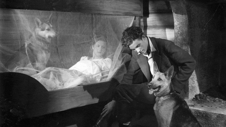 кадр из фильма Hans Nåds testamente